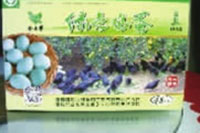 xh6388新濠天地,油茶种植生产加工销售,植物油种植生产加工销售