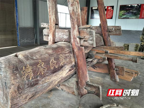 xh6388新濠天地,油茶种植生产加工销售,植物油种植生产加工销售
