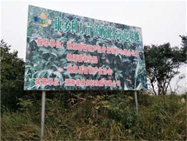 xh6388新濠天地,油茶种植生产加工销售,植物油种植生产加工销售