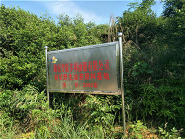 xh6388新濠天地,油茶种植生产加工销售,植物油种植生产加工销售